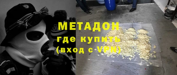 сатива Горняк