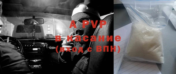 сатива Горняк