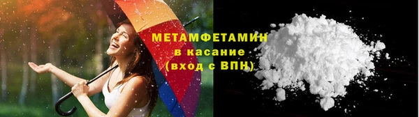 сатива Горняк