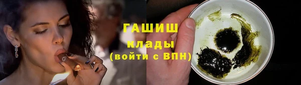 сатива Горняк