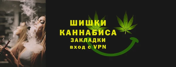 сатива Горняк