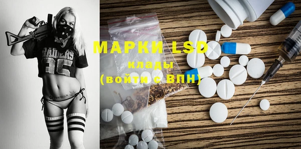 сатива Горняк