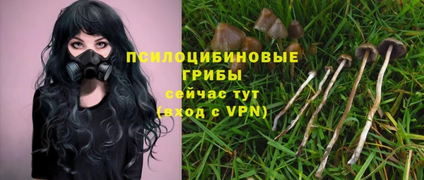 винт Горнозаводск