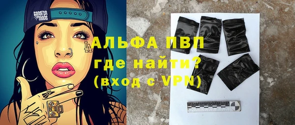 сатива Горняк