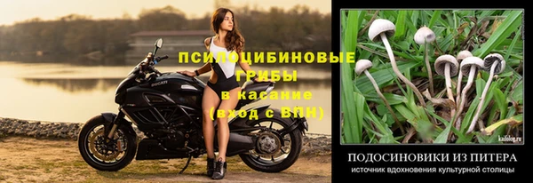 винт Горнозаводск