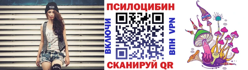 Псилоцибиновые грибы мицелий  наркошоп  Дмитровск 
